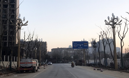 梔子花開”文化岳陽(yáng)