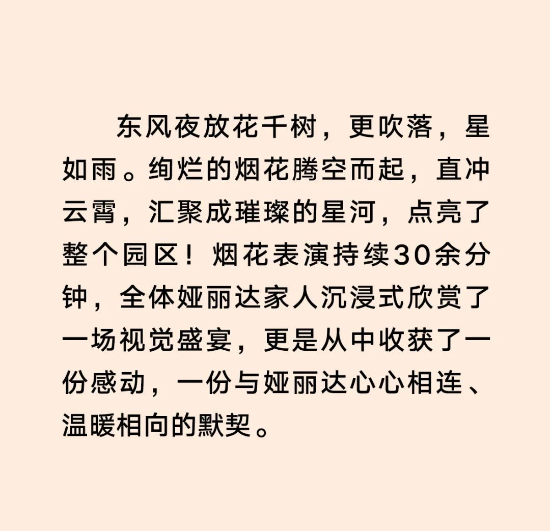 娅麗達 | 新年煙花秀，璀璨開新局